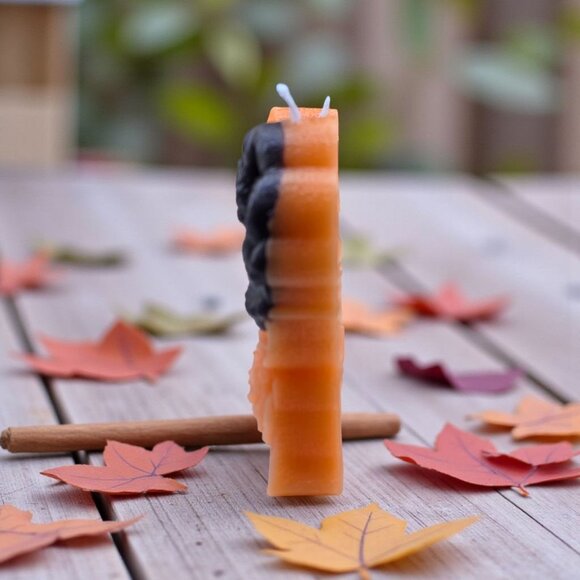 Handmade ✦ Butterfly Skull Candle ✦ Pumpkin Pie Scent w/ Cinnamon Soy Wax - Picture 3 of 6